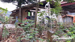 Bắc Kạn sẽ xóa 2.000 nhà tạm, nhà dột nát cho hộ nghèo, hộ cận nghèo