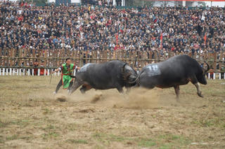 Hãy để cộng đồng quyết định