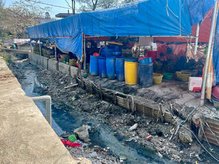 Quảng Ninh: Di dời cơ sở chế biến hàu ra khỏi khu dân cư