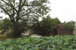 Thương nhớ cổng làng