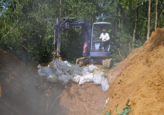 Quảng Ngãi: Tiêu hủy 800 con vịt dương tính với virus cúm A H5N1