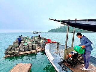 Ngang nhiên 'chiếm' đảo nuôi thuỷ sản?