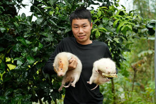 Nam công nhân rủ vợ bỏ việc về quê nuôi con 'bán không ai mua'