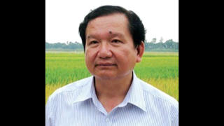 Nhanh chóng xây dựng thương hiệu gạo quốc gia