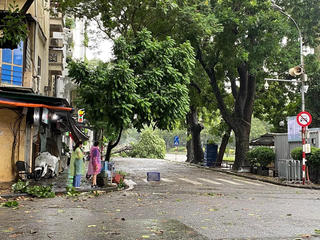 Hà Nội: 9 người thương vong, gần 500 cây xanh gãy đổ do bão số 3