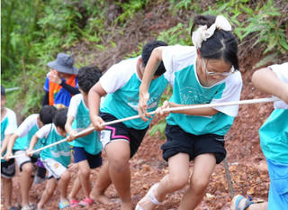 Ai kiểm soát những khóa học mùa hè?