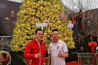 Hà Nội: Chậu lan hồ điệp khổng lồ 'hét' giá 1,6 tỷ đồng