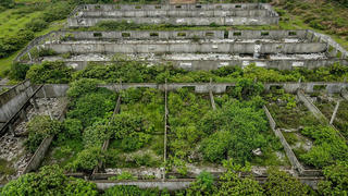 Hà Tĩnh: Trung tâm sản xuất giống chăn nuôi 20 tỷ đồng bỏ hoang gần thập kỷ