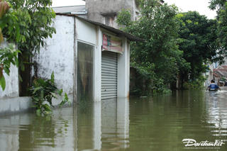 71 người chết và mất tích, 732 người bị thương do bão lũ