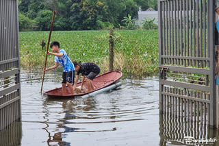 Thái Nguyên: Cần giải pháp để người dân Phúc Lộc hết khổ vì ngập úng