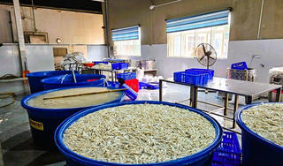 Thanh Hóa: Phát hiện gần 7 tấn chân gà ngâm chất tẩy trắng