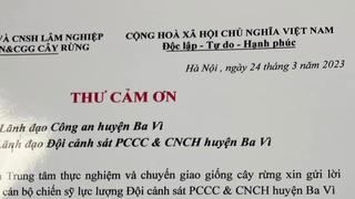 Động lực từ những lá thư cảm ơn