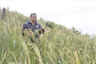 Vùng DTTS, miền núi tỉnh Khánh Hòa trước cơ hội phát triển mới