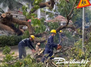 Điều tra mở rộng vụ án Công ty Cây xanh Công Minh