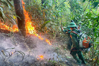 Khống chế kịp thời vụ cháy rừng phòng hộ ở Đèo Ngang