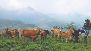 Na Ngoi vươn mình