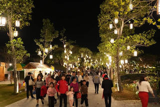 Hơn 300 nghìn lượt khách đến Ninh Bình trong dịp năm mới