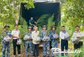 TPHCM: Một triệu cây xanh vì biển đảo Tổ quốc
