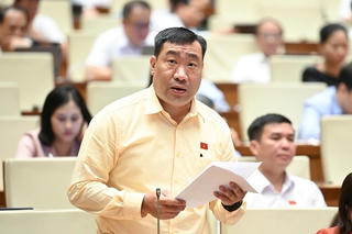 Miễn thuế sử dụng đất nông nghiệp cần đi kèm ràng buộc, tránh tình trạng “ôm đất” chờ thời