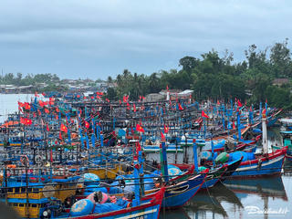 Quảng Ngãi kêu gọi tàu thuyền chủ động neo đậu tránh trú bão số 1