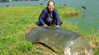 PGS.TS Hà Đình Đức: Yêu Hà Nội theo cách riêng