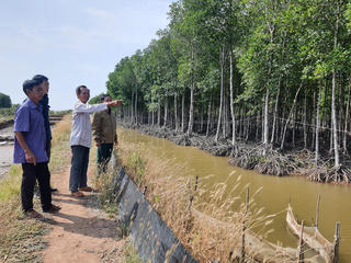 'Sống khỏe' nhờ rừng