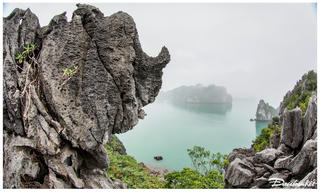 Ngắm vịnh Bái Tử Long kỳ ảo khi xuân về