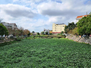 TP Thanh Hóa: Nhếch nhác dự án trăm tỷ đồng