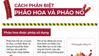 Chơi pháo ngày Tết: Cách phân biệt ‘pháo hoa’ và ‘pháo nổ’ để tránh bị phạt