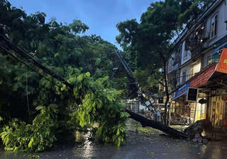 Phú Thọ: 2 người bị thương, 178 nhà hư hỏng do bão số 3