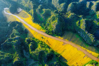 Khai thác ‘mỏ vàng’ tín chỉ car-bon