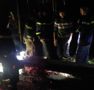 Xe chở gỗ rơi xuống vực, 1 người tử vong