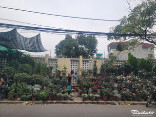 Hà Nội: Vỉa hè tuyến phố bị chiếm dụng bày bán cây cảnh, gốm sứ, đồ mỹ nghệ