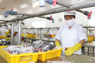 Nhiều nước tăng áp dụng biện pháp phòng vệ thương mại 