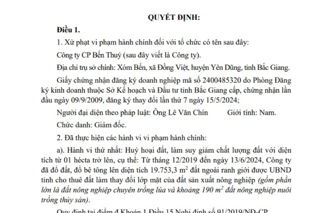 Bắc Giang xử phạt Công ty CP Bến Thủy 260 triệu đồng