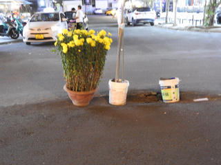 Đà Nẵng: Chậu cúc vàng cảnh báo tai nạn giữa ngã ba đường có đông khách du lịch