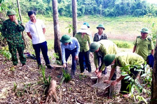 Hà Tĩnh: Thả nhiều động vật hoang dã nguy cấp quý hiếm về môi trường tự nhiên