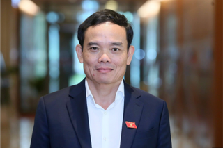 Quá trình công tác của Bí thư TW Đảng, Trưởng Ban Kinh tế TW Trần Lưu Quang