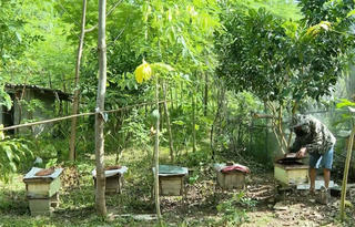 Nho Quan (Ninh Bình): Thực hiện hiệu quả Dự án 1 cho đồng bào dân tộc thiểu số