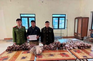 Lạng Sơn: Bắt giữ đối tượng thu mua, tàng trữ trái phép động vật hoang dã