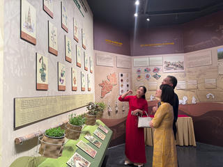 TP Hồ Chí Minh: Trưng bày 'Ẩm thực Nam bộ thời kháng chiến'