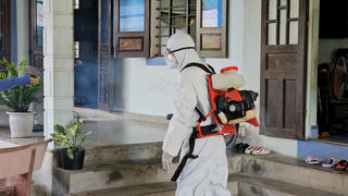 Huế: Ghi nhận nhiều trường hợp mắc liên cầu lợn