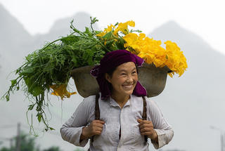 Đề nghị xét danh hiệu Nghệ sĩ nhân dân, Nghệ sĩ ưu tú cho các nhà nhiếp ảnh