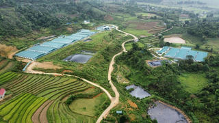 Lai Châu: Người dân phản ánh trang trại lợn gây ô nhiễm môi trường