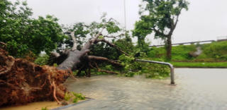 Chủ động phòng bệnh thương hàn trong và sau bão