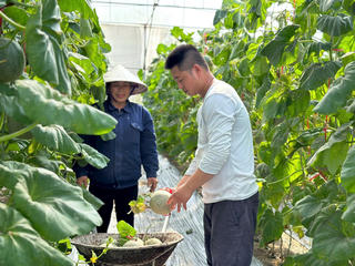 Gìn giữ thương hiệu thời “hậu sáp nhập”