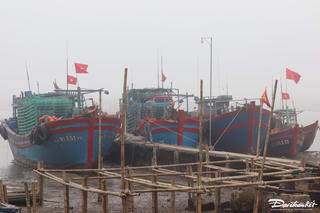 Chìm tàu cá khiến 4 thuyền viên mất tích