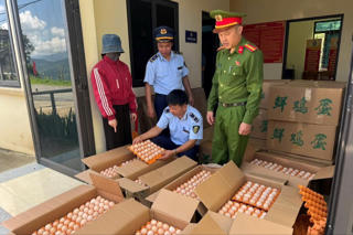 Tuyên Quang: Ngăn chặn vụ nhập lậu hàng chục nghìn quả trứng gà