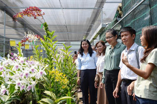 Nông nghiệp công nghệ cao ở “vùng đất thép”