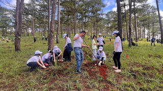 Lâm Đồng: Thành đoàn Đà Lạt trồng 4.000 cây thông ba lá bảo vệ môi trường